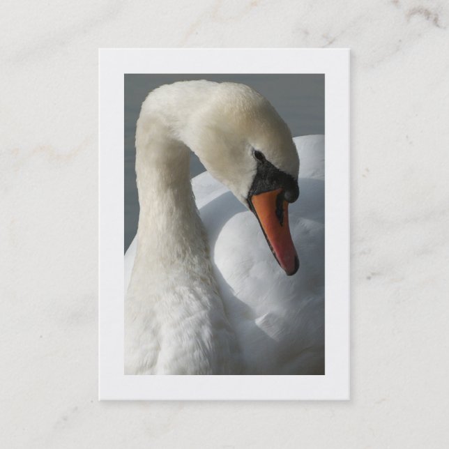 Swan (Bordered) Business Card (Front)