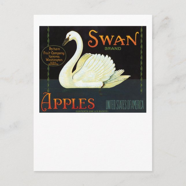 Swan Brand Apples Postcard (Front)