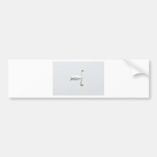 Swan Bumper Sticker