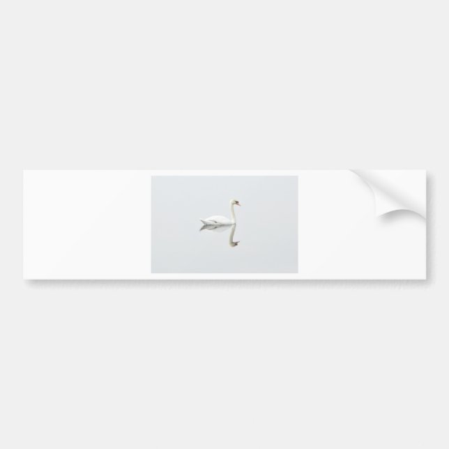Swan Bumper Sticker (Front)