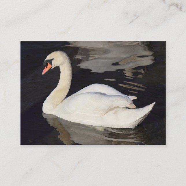 Swan Business Card (Front)