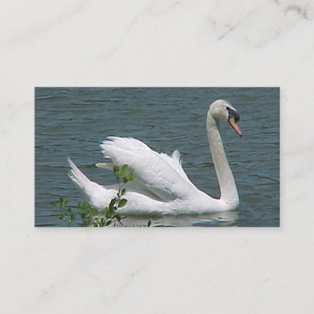 Swan Business Cards (Front)