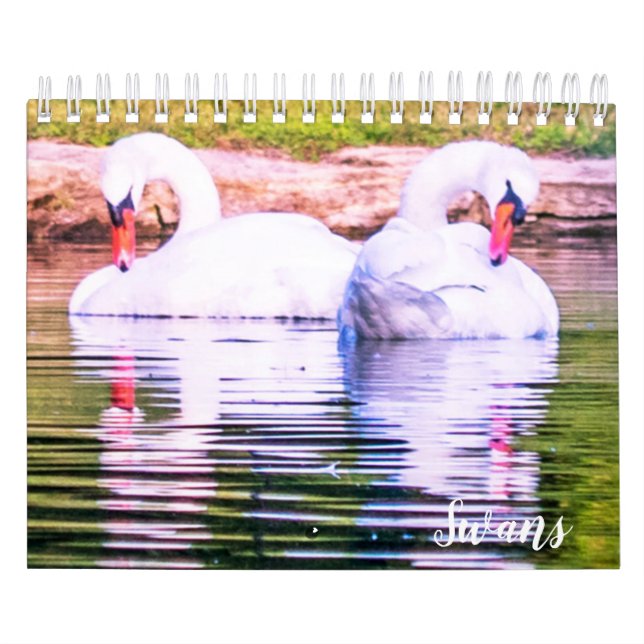 Swan Calendar (Cover)