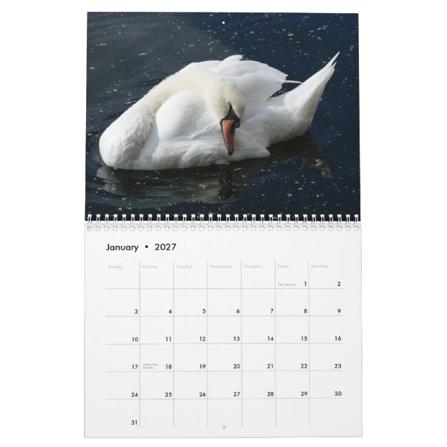 Swan Calendar 2012 (Jan 2027)