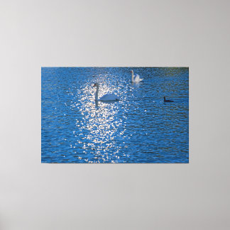 Swan Canvas Print