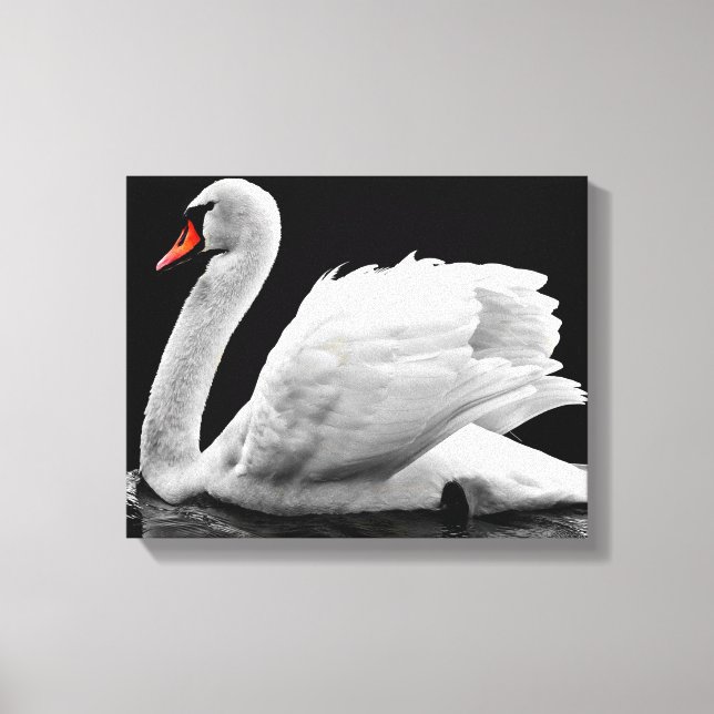 Swan Canvas Print (Front)