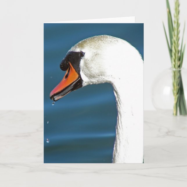 Swan Card (Front)