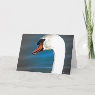 Swan Card