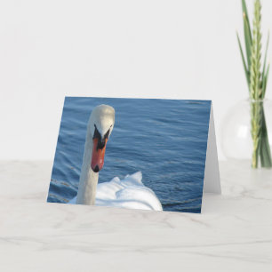 Swan Card