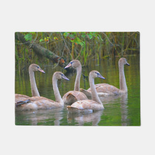 Swan Door Mat