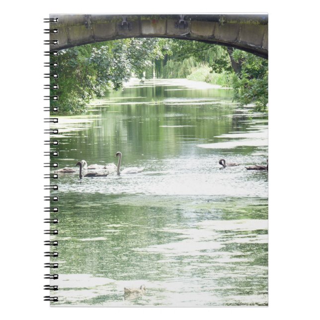 Swan Family On River Notebook (Front)