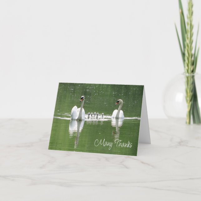 Swan Family Photograph Thank You Card (Front)