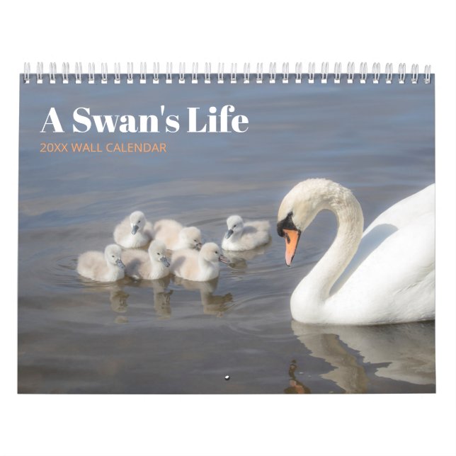 Swan Family Photograph Wall Calendar (Cover)