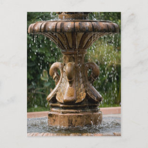 Swan Fountain Postcard