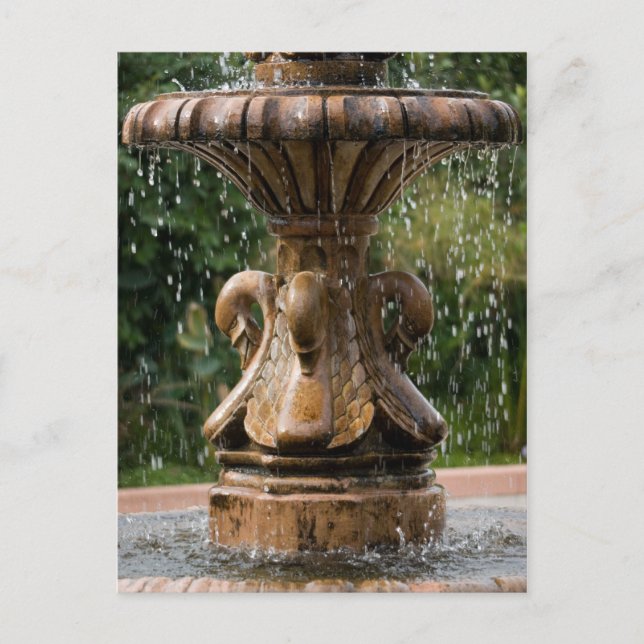 Swan Fountain Postcard (Front)