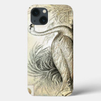 Swan Graphic