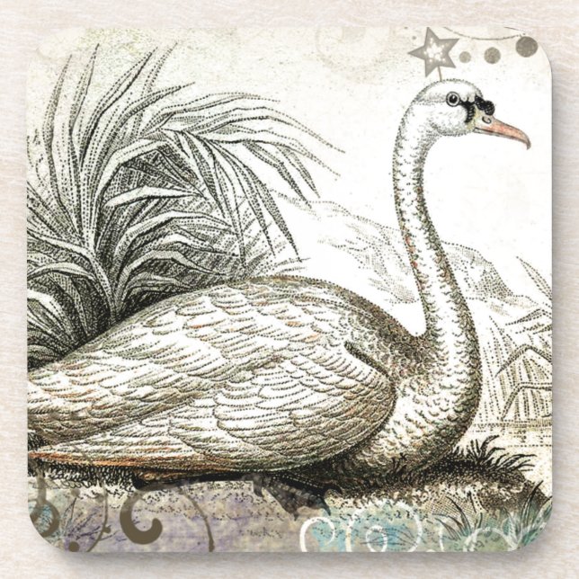 Swan Graphic Coaster (Front)