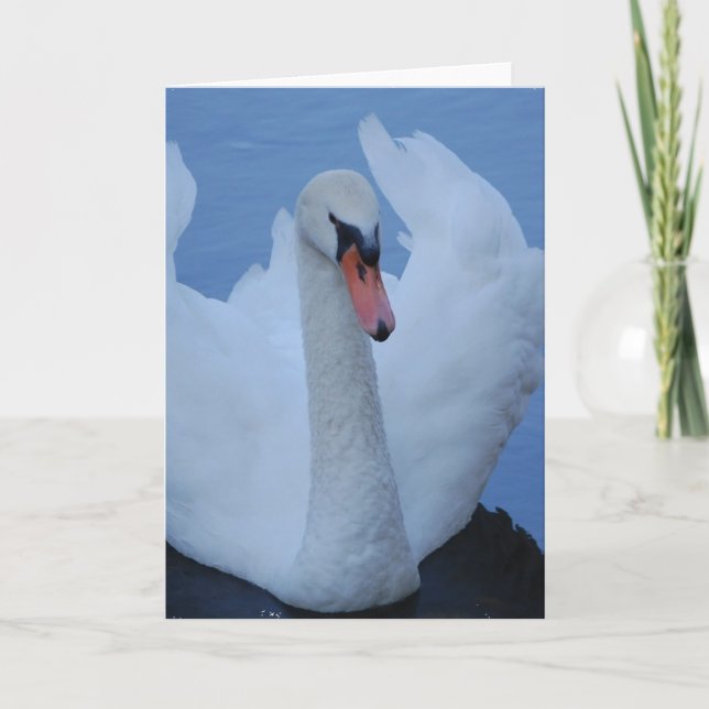 Swan Greeting Card (Front)