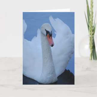 Swan Greeting Card