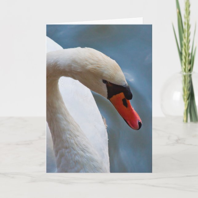 Swan Greeting Card (Front)