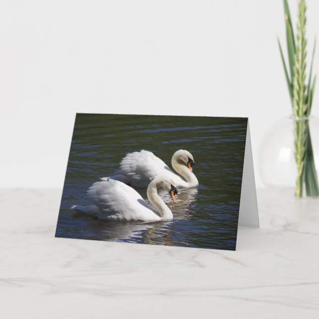 Swan Greetings Card (Front)