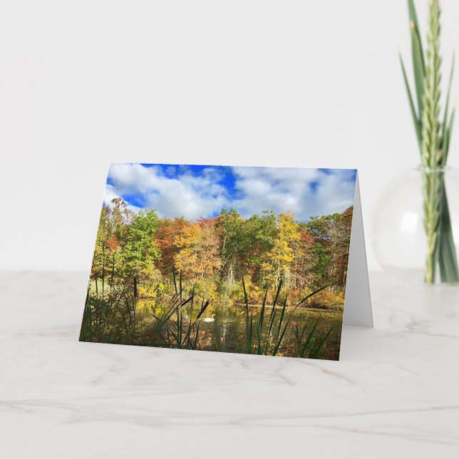 Swan in Autumn Greeting Card (Front)