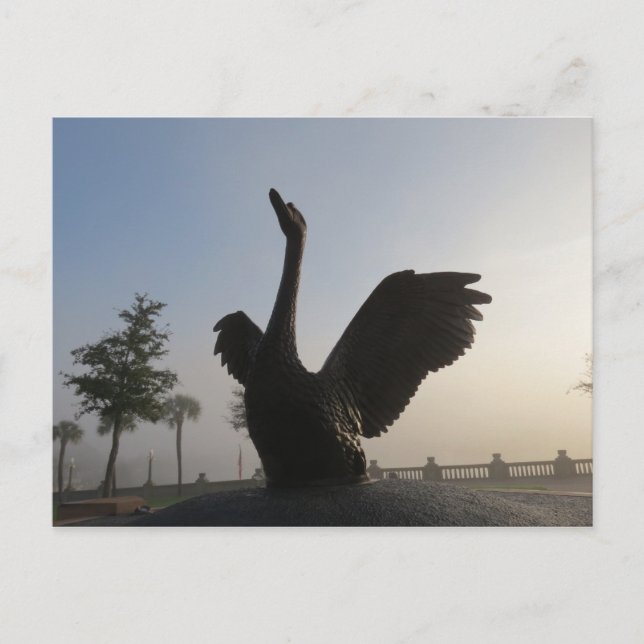 Swan in flight Blue background Lakeland, FL Postcard (Front)