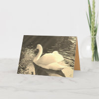 Swan in Sepia 