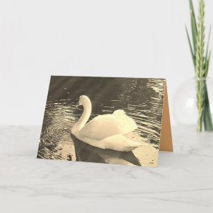 Swan in Sepia  Thank You Card