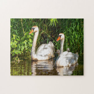 swan jigsaw puzzle