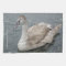 Swan Kitchen Towel