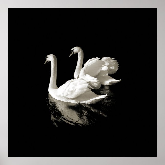 Swan Lake - Black and White poster (Front)