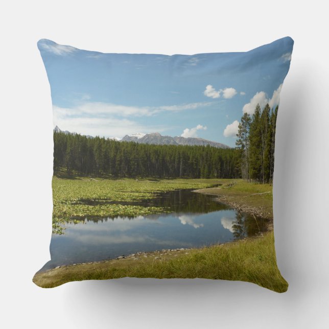Swan Lake I at Grand Teton National Park Cushion (Front)