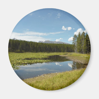 Swan Lake I at Grand Teton National Park Magnet