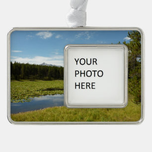 Swan Lake I Silver Plated Framed Ornament