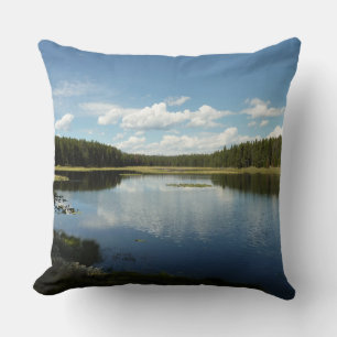Swan Lake II at Grand Teton National Park Cushion