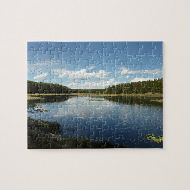 Swan Lake II at Grand Teton National Park Jigsaw Puzzle (Horizontal)