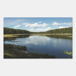 Swan Lake II at Grand Teton National Park Rectangular Sticker