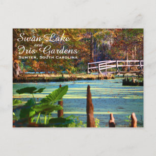 Swan Lake Iris Gardens, Sumter, South Carolina Postcard