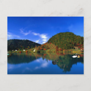 Swan Lake Mountains Postcard