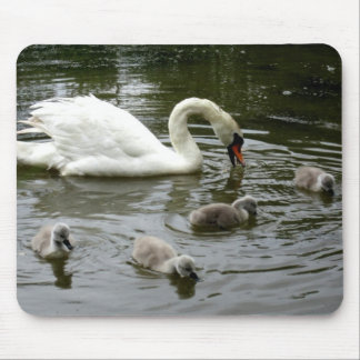 Swan Lake - Mousepad