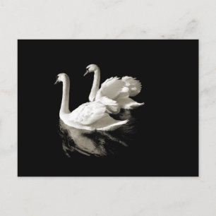 Swan Lake postcard