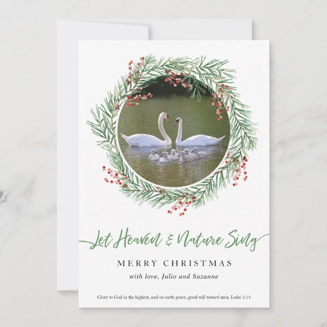 Swan Let Heaven & Nature Sing Holiday Card (Front)