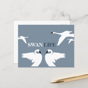 Swan Life, Elegant Swan Postcard