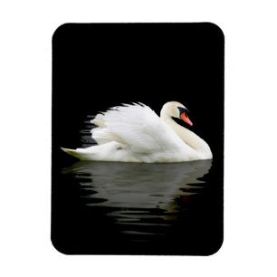 Swan Magnet