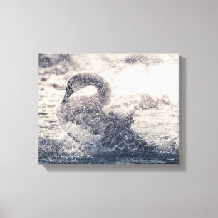 Swan Nature Photo Canvas Print