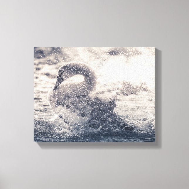 Swan Nature Photo Canvas Print (Front)