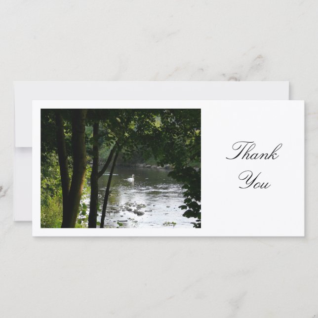 Swan on a River - Thank You Card (Front)