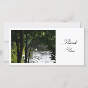 Swan on a River - Thank You Card