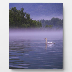 Swan on lake plaque